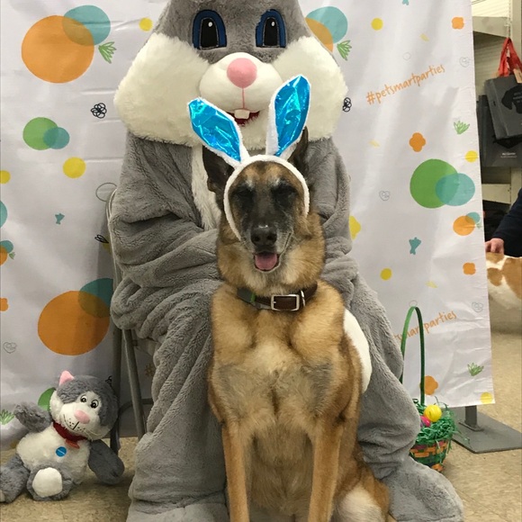 Meet your Posher, be sure to bundle to save❤️ - Picture 10 of 16